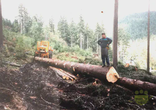 Forstarbeiter neben gefällten Baumstämmen mit gelbem Rückeschlepper im Wald bei Waldbärenburg, 1994