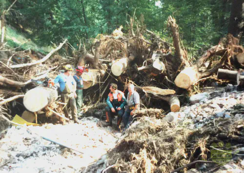 Forstarbeiter bei der Aufräumarbeit nach Sturmschäden mit Kettensäge bei Kipsdorf, 2002