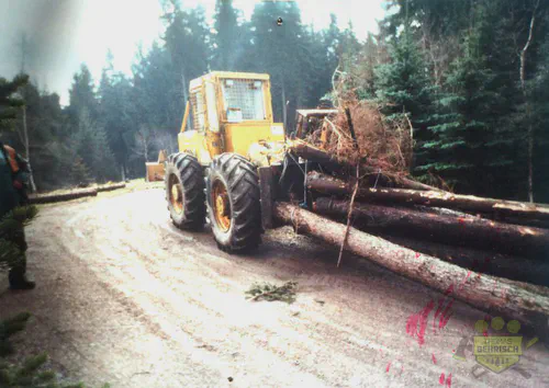 LKT-Forstschlepper zieht schwere Baumstämme auf einem Waldweg