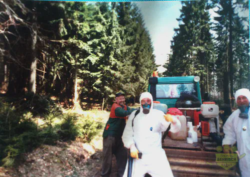 Mitarbeiter des Forstbetriebs Behrisch bei Waldpflegearbeiten mit Schutzausrüstung und Sprühgeräten