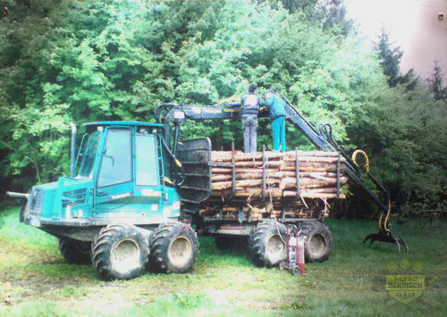 Voll beladener Timberjack-Forwarder mit Baumstämmen auf einer Wiese