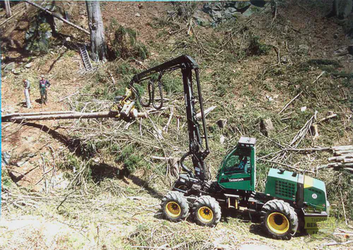 Timberjack-Harvester bei Holzeinschlag in steilem Gelände im Erzgebirge