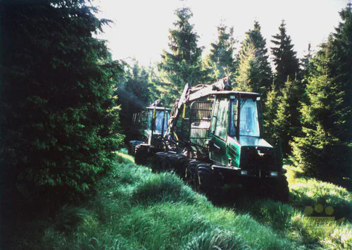 Timberjack-Forwarder und Harvester auf einem schmalen Rückeweg im dichten Fichtenwald