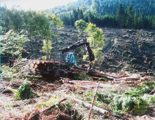 Forwarder beim Holzrücken auf einer Kahlschlagfläche im Sauerland