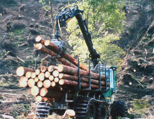 Forwarder belädt Rundholz mit Krangreifer auf einer Sturmschadfläche im Sauerland